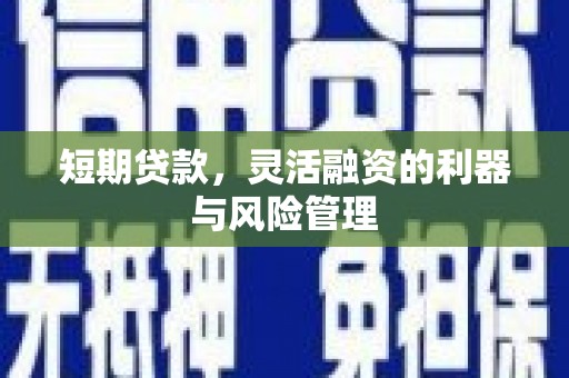 榆树短期贷款，灵活融资的利器与风险管理