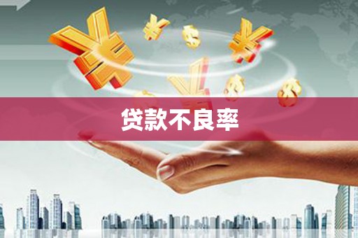 榆树贷款不良率