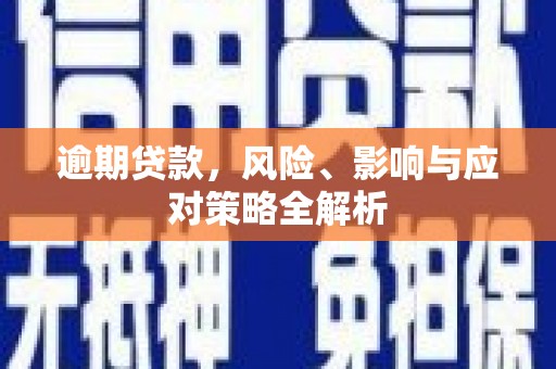 榆树逾期贷款，风险、影响与应对策略全解析