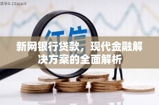 榆树新网银行贷款，现代金融解决方案的全面解析