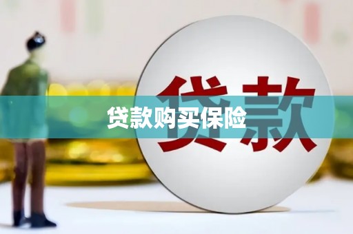 榆树贷款购买保险