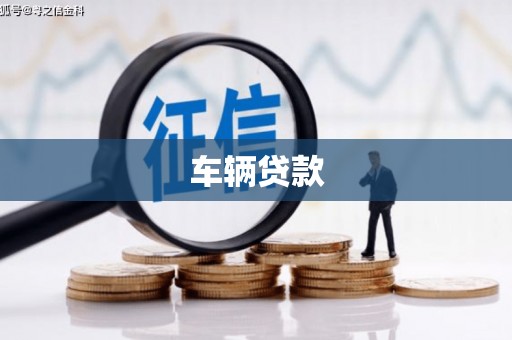 榆树车辆贷款