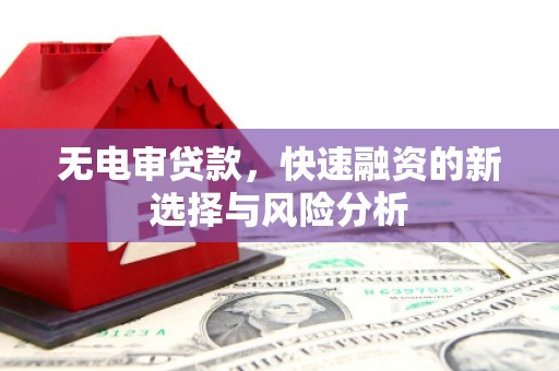 榆树无电审贷款，快速融资的新选择与风险分析