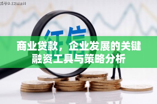榆树商业贷款，企业发展的关键融资工具与策略分析