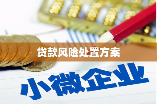 榆树贷款风险处置方案