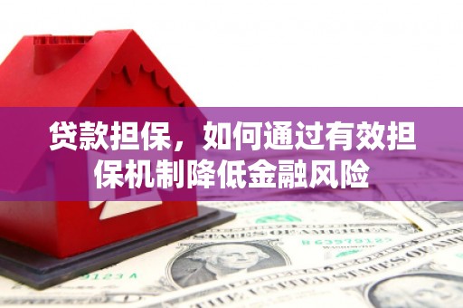 榆树贷款担保，如何通过有效担保机制降低金融风险