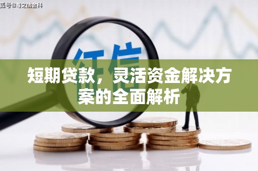 榆树短期贷款，灵活资金解决方案的全面解析