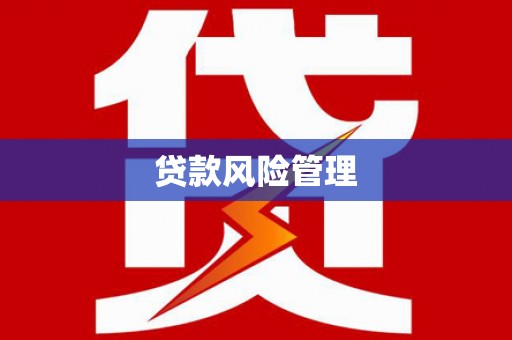 榆树贷款风险管理