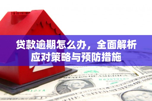 榆树贷款逾期怎么办，全面解析应对策略与预防措施