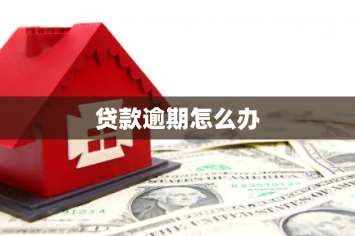 榆树贷款逾期怎么办