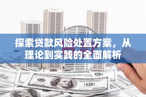 榆树探索贷款风险处置方案，从理论到实践的全面解析