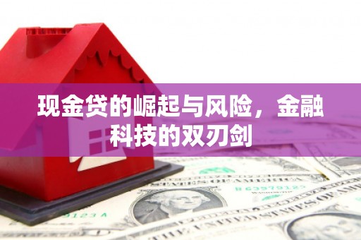 榆树现金贷的崛起与风险，金融科技的双刃剑