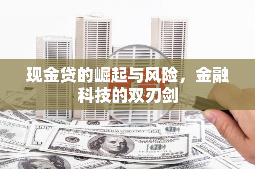榆树现金贷的崛起与风险，金融科技的双刃剑