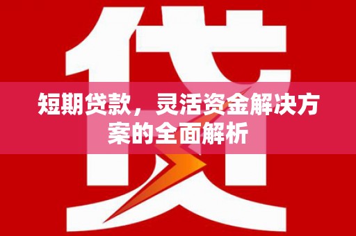 榆树短期贷款，灵活资金解决方案的全面解析