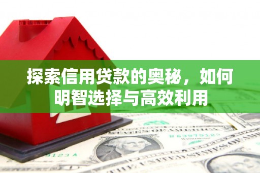 榆树探索信用贷款的奥秘，如何明智选择与高效利用