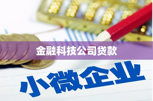 榆树金融科技公司贷款