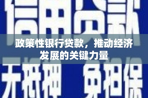 榆树政策性银行贷款，推动经济发展的关键力量
