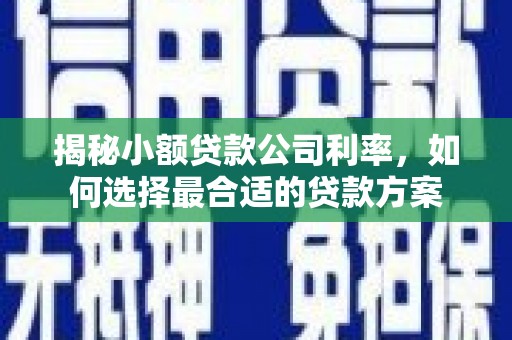 榆树揭秘小额贷款公司利率，如何选择最合适的贷款方案