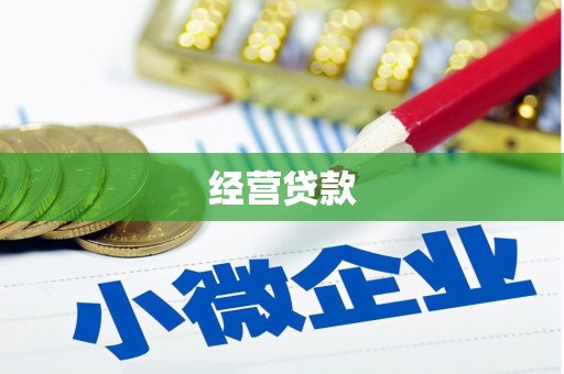 榆树经营贷款