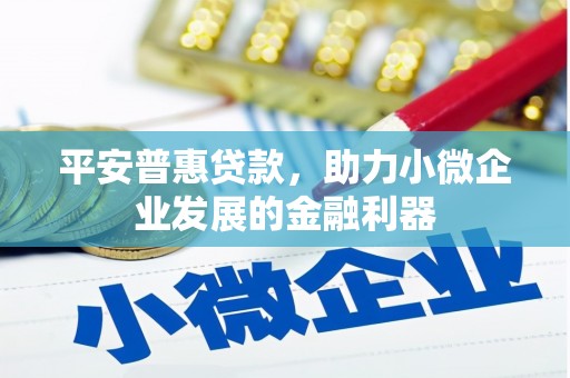 榆树平安普惠贷款，助力小微企业发展的金融利器