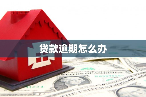 榆树贷款逾期怎么办