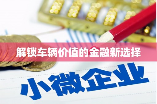 榆树解锁车辆价值的金融新选择