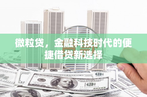 榆树微粒贷，金融科技时代的便捷借贷新选择