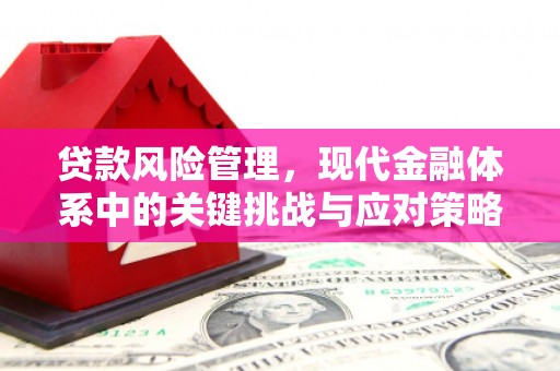 榆树贷款风险管理，现代金融体系中的关键挑战与应对策略