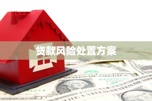 榆树贷款风险处置方案