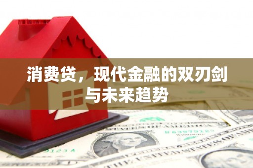 榆树消费贷，现代金融的双刃剑与未来趋势