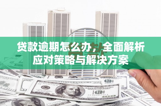 榆树贷款逾期怎么办，全面解析应对策略与解决方案
