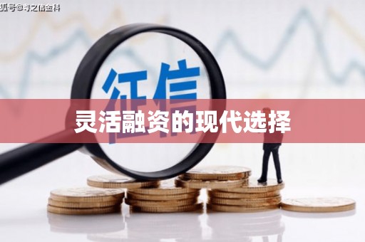 榆树灵活融资的现代选择