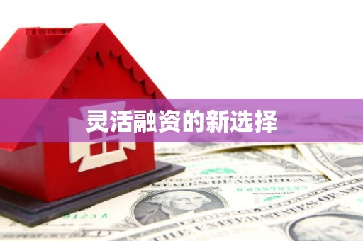 榆树灵活融资的新选择