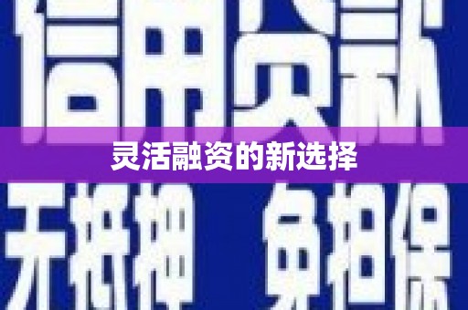 榆树灵活融资的新选择