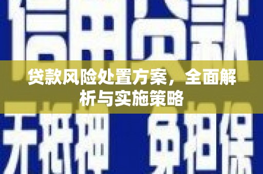 榆树贷款风险处置方案，全面解析与实施策略