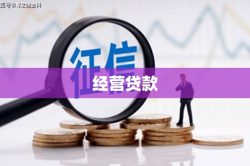 榆树经营贷款