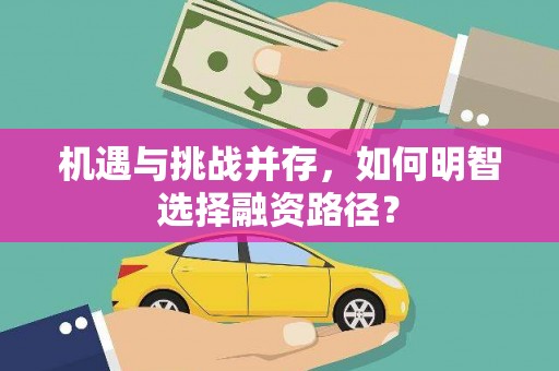 榆树机遇与挑战并存，如何明智选择融资路径？