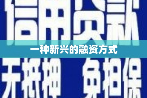 榆树一种新兴的融资方式