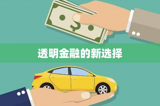 榆树透明金融的新选择
