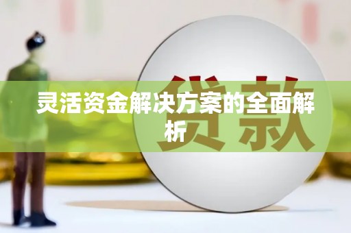 榆树灵活资金解决方案的全面解析