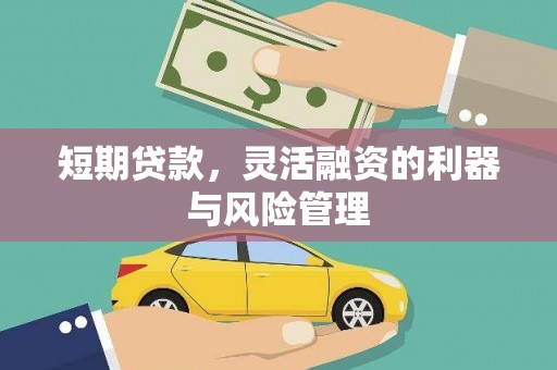榆树短期贷款，灵活融资的利器与风险管理