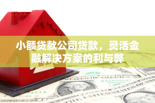 榆树小额贷款公司贷款，灵活金融解决方案的利与弊