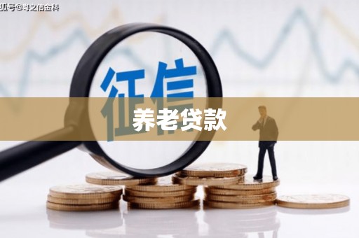 榆树养老贷款