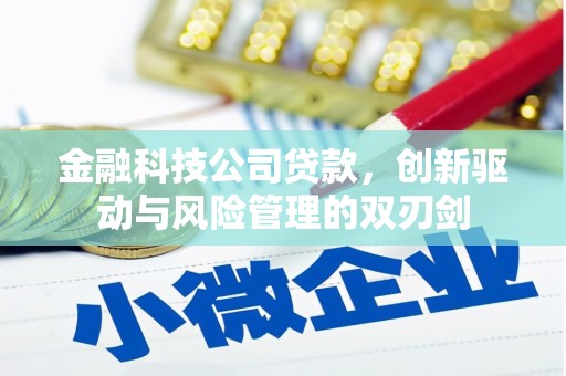 榆树金融科技公司贷款，创新驱动与风险管理的双刃剑